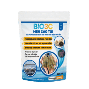 MEN CAO TỎI