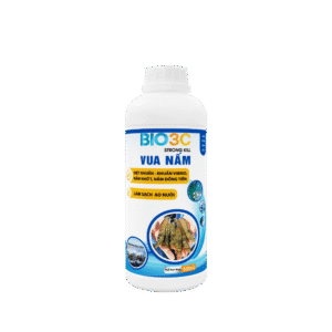 VUA NẤM ( STRONG KILL)