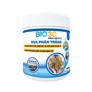 VUA PHÂN TRẮNG